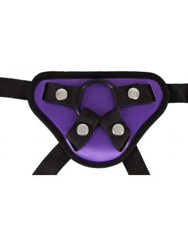 Universal harness
