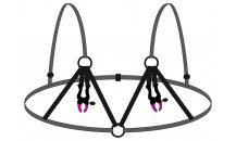 Bra with Silicone Nipple Clamps