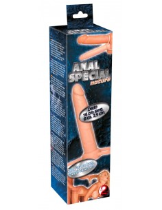 Anal Special 2