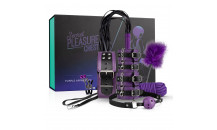 Secret Pleasure Chest - BDSM - Lilla