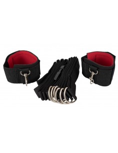 Bed Restraints 2