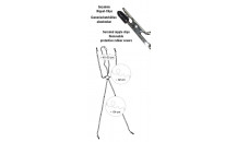 Nippel - Skamlæbe - Kæde