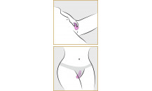 Fantasy For Her - Trusse Vibrator Med Fjernbetjening - Lilla