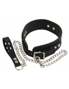Silicone Collar with Leash 2