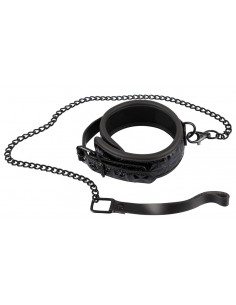 Collar with Leash 2