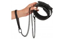 Collar with Leash Collar with Leash