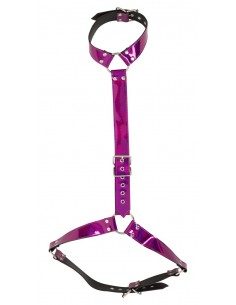 Body Harness 2