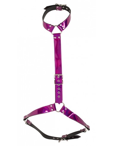 Body Harness