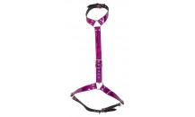 Body Harness Body Harness