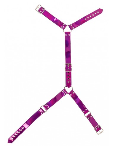 Body Harness