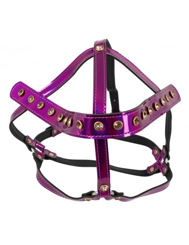 Head Harness