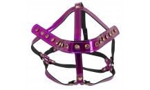 Head Harness