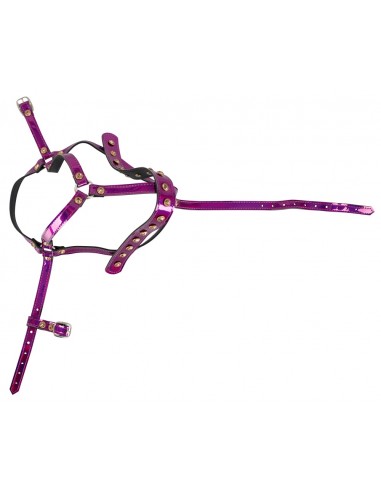 Head Harness