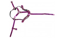 Head Harness