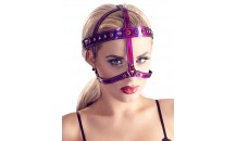Head Harness