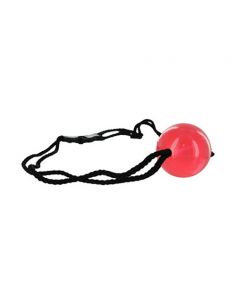 Apprentice Ball Gag 2