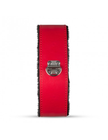 Secret Pleasure Chest - BDSM - Rød